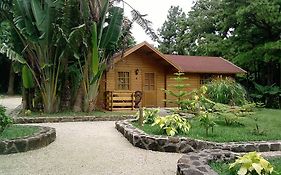 Hotel Le Domaine De L Arbre Du Voyageur Curepipe Exterior photo