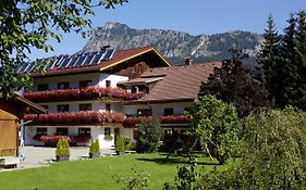 Hotel Apart & Pension Wassermann Inklusive Sommerbergbahnticket Tannheim Exterior photo