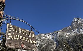 Albergo Alpenrose Ski&Bike Mountain Hotel Gressoney-Saint-Jean Exterior photo