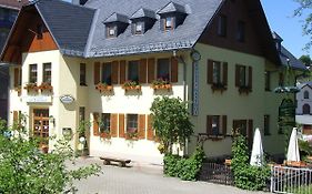 Hotel Gasthof Zum Doehlerwald Klingenthal Exterior photo