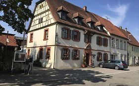 Hotel Gasthaus Loewen Sinsheim Exterior photo