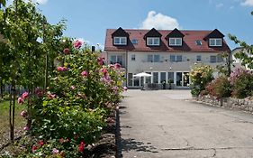 Hotel Felshof - Weingut & Gaestehaus Sommerhausen Exterior photo