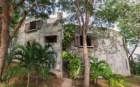 Hix Island House Hotel Vieques Exterior photo