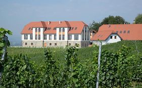 Hotel Weingut Taggenbrunn Sankt Veit an der Glan Exterior photo