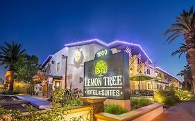 The Lemon Tree Hotel Anaheim Exterior photo