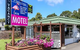 Flamingo Motel New Plymouth Exterior photo