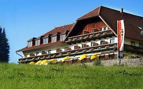 Hotel Schone Aussicht Salisburgo Exterior photo