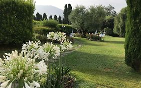 Villa Del Papa Lucca Exterior photo