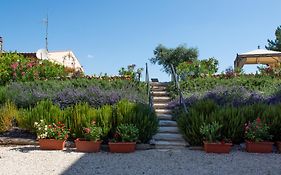 Villa Mascitti B&B Tortoreto Exterior photo