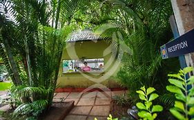 Zulu Land Cottages - Near Curlies Beach Shack And Shiva Valley - Anjuna Beach Exterior photo