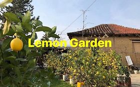 Lemon Garden Ostello Skopje Exterior photo