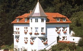 Villa Turnerwirt Salisburgo Exterior photo