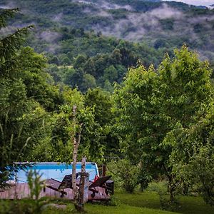 Guest House Lagotto's Peak Radatovici Exterior photo