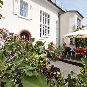 Hotel Bio-Weingut, Gaestehaus Und Kraeuterhof Flomborn Exterior photo