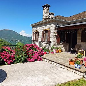 Hotel Foris House Vikos Exterior photo