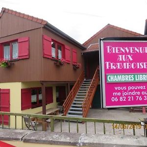 Gite Et Chambres D'Hotes Les Framboises Katzenthal Exterior photo