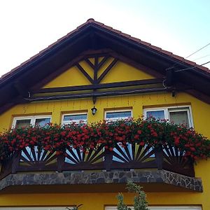 Hazanéző Panzió Bed and Breakfast Corund  Exterior photo