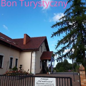 Pensjonat Agroturystyczny Pod Modrzewiem Bed and Breakfast Florczaki Exterior photo