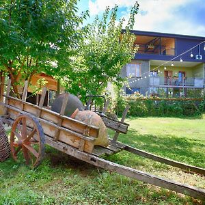 Bucha`s Guest House&Wine Cellar Telavi Exterior photo