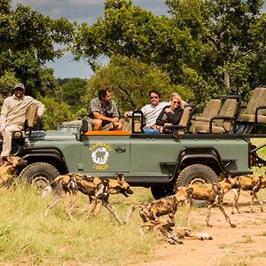 Kambaku Safari Lodge Timbavati Game Reserve Exterior photo