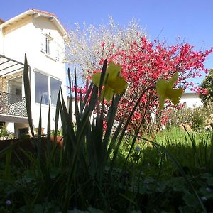 l'agapanthe Bed and Breakfast Conques-sur-Orbiel Exterior photo