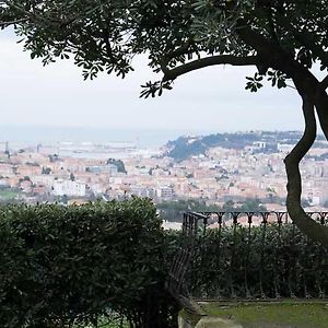 D'Ago48 Bed and Breakfast Ancona Exterior photo