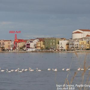 L'ISOLA AeR B&B Lesina Exterior photo