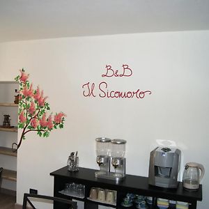 B&B Il Sicomoro Castion Veronese Exterior photo