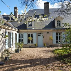 La Maison Céladon Bed and Breakfast Prunay-Cassereau Exterior photo