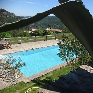 Le Mercou en Cévennes Bed and Breakfast Saint-Martin-de-Boubaux Exterior photo