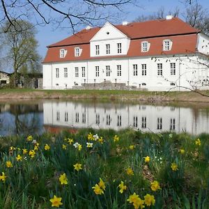 Jagdschloss Kotelow Exterior photo