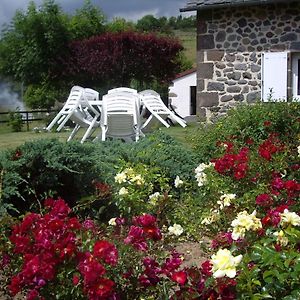 Ferme De Lamourio Bed and Breakfast Saint-Cernin  Exterior photo