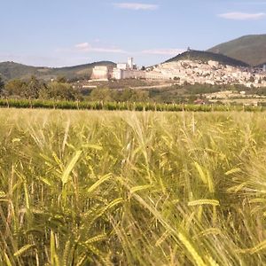 B&B Domus Benedicta Assisi Exterior photo