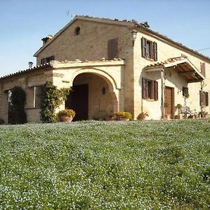 Cascinale La Mimosa Bed and Breakfast Cupramontana Exterior photo