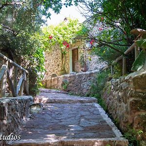 Cretan Minoan Apartments Káto Zákros Exterior photo