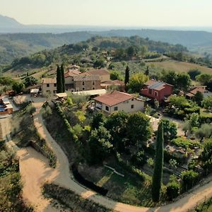 Corte Buenavista Bed and Breakfast Magliano Sabina Exterior photo