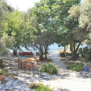 Ada-Art Guesthouse Design Rooms Next To Beach Isola di Marmara Exterior photo