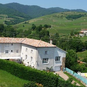 Hotel Les Picorettes Vaux-en-Beaujolais Exterior photo