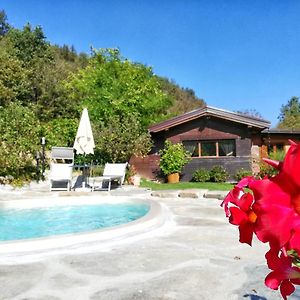 naturas - Casetta nel Bosco con piscina e giardino privati! Rossana Exterior photo