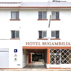 Hotel Bugambilia Oaxaca Exterior photo