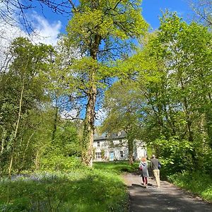 Blackhill Woods Retreat Affittacamere Abbeyleix Exterior photo