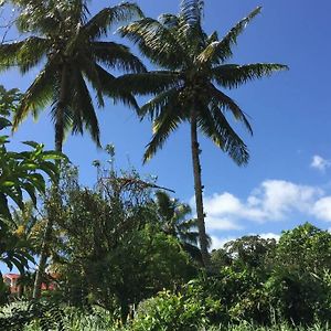 Appartamento Logement En Pleine Verdure Tropicale -10 Min Plage Le Morne-Rouge Exterior photo