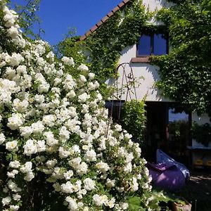 Chambre D'Hotes De Charme, Un Temps En Foret Bed and Breakfast Westhouse Exterior photo