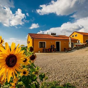 Spazio Natura Bed and Breakfast Castelmezzano Exterior photo