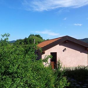 La Volpe e la Luna Bed and Breakfast Mioglia Exterior photo