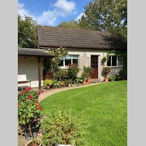 Appartamento Mews With Garden Views Carlow Exterior photo