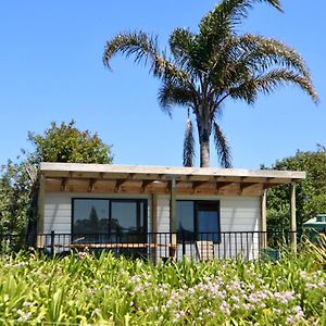 Hotel Mount And Surf View Cabin Pataua Exterior photo