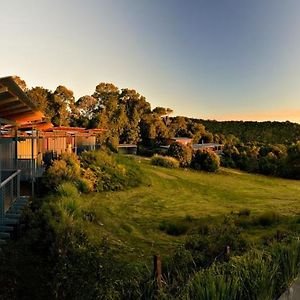 Hotel O'Reilly'S Rainforest Retreat Canungra Exterior photo