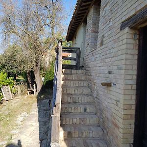 Casa di terra cruda Bed and Breakfast Monsampolo Del Tronto Exterior photo