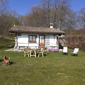 Baita Tana da l'Ors Villa Forgaria nel Friuli Exterior photo